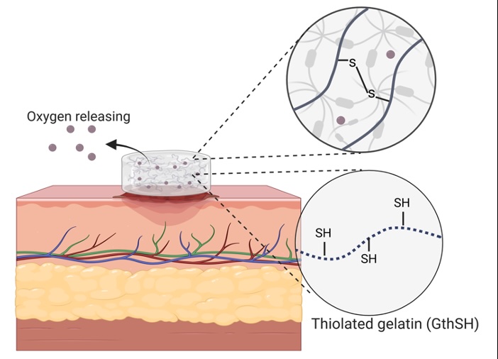 Hydrogel lab work